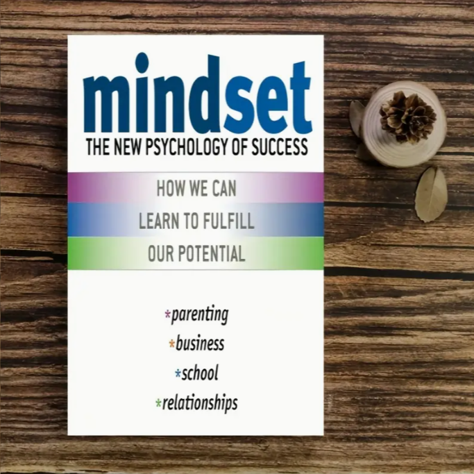 The book Mindset :