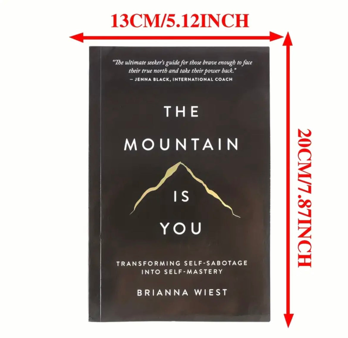 The Mountain is YOU by BRIANNA WIEST