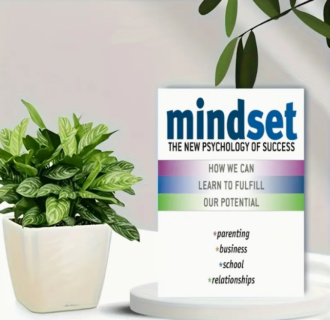 The book Mindset :
